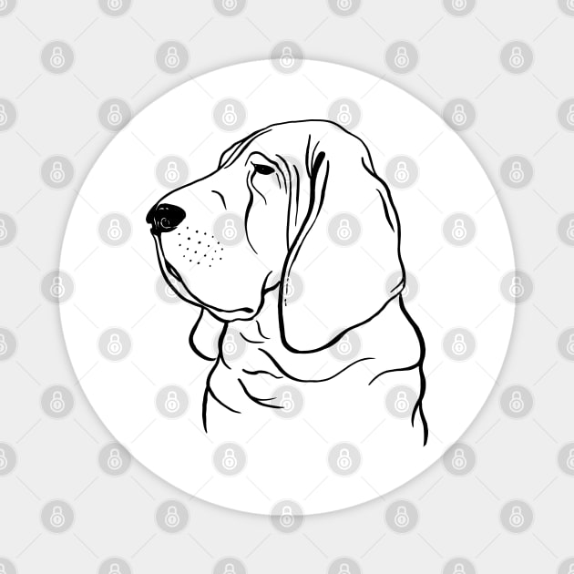 Bloodhound (Black and White) Magnet by illucalliart